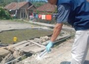 Kurang dari 24 Jam, Polisi Tangkap Dua Pelaku Penusukan Plt Kepala KUA Pulau Beringin OKU Selatan