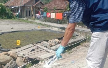 Kurang dari 24 Jam, Polisi Tangkap Dua Pelaku Penusukan Plt Kepala KUA Pulau Beringin OKU Selatan