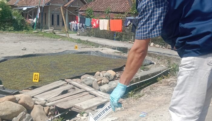 Kurang dari 24 Jam, Polisi Tangkap Dua Pelaku Penusukan Plt Kepala KUA Pulau Beringin OKU Selatan