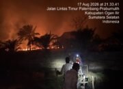 20 Orang Ditangkap dan Ditahan dalam Kasus Karhutla di Sumsel, Korporasi Nihil