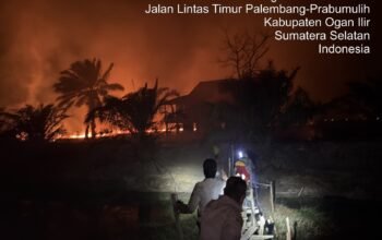 20 Orang Ditangkap dan Ditahan dalam Kasus Karhutla di Sumsel, Korporasi Nihil