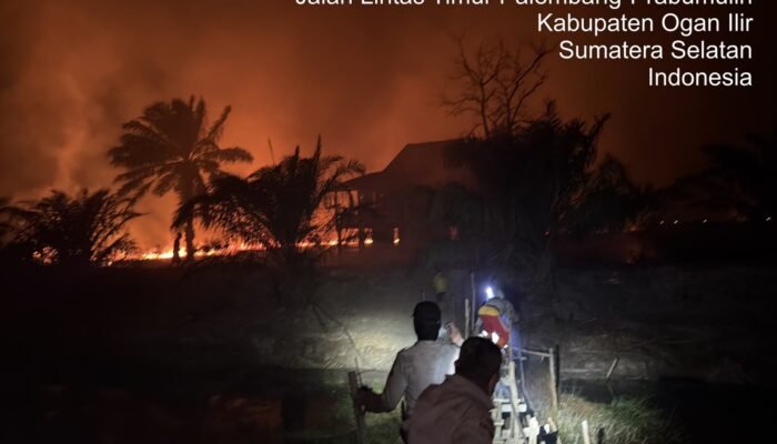 20 Orang Ditangkap dan Ditahan dalam Kasus Karhutla di Sumsel, Korporasi Nihil
