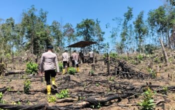 Cegah Karhutla, Personel Polda Sumsel Sisir Lahan Rawan di Muba
