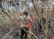 Personel Ops Aman Nusa II Berjibaku Padamkan Api Karhutla PT Samora di OKI
