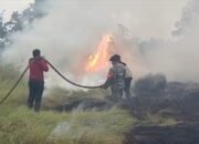 15 Hektar Lahan Semi Gambut di Desa Semambu Terbakar, Tim Gabungan Berjibaku Padamkan Api