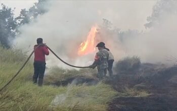 15 Hektar Lahan Semi Gambut di Desa Semambu Terbakar, Tim Gabungan Berjibaku Padamkan Api