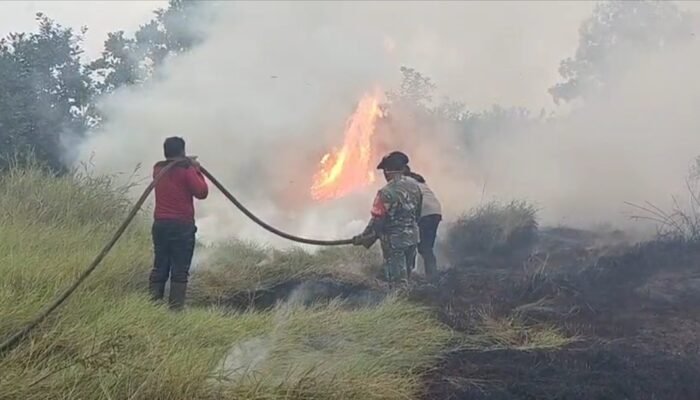 15 Hektar Lahan Semi Gambut di Desa Semambu Terbakar, Tim Gabungan Berjibaku Padamkan Api