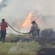 15 Hektar Lahan Semi Gambut di Desa Semambu Terbakar, Tim Gabungan Berjibaku Padamkan Api