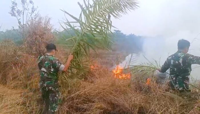 Dandim Muba Pimpin Pemadaman Karhutla di Desa Suka Maju, Kecamatan Babat Supat